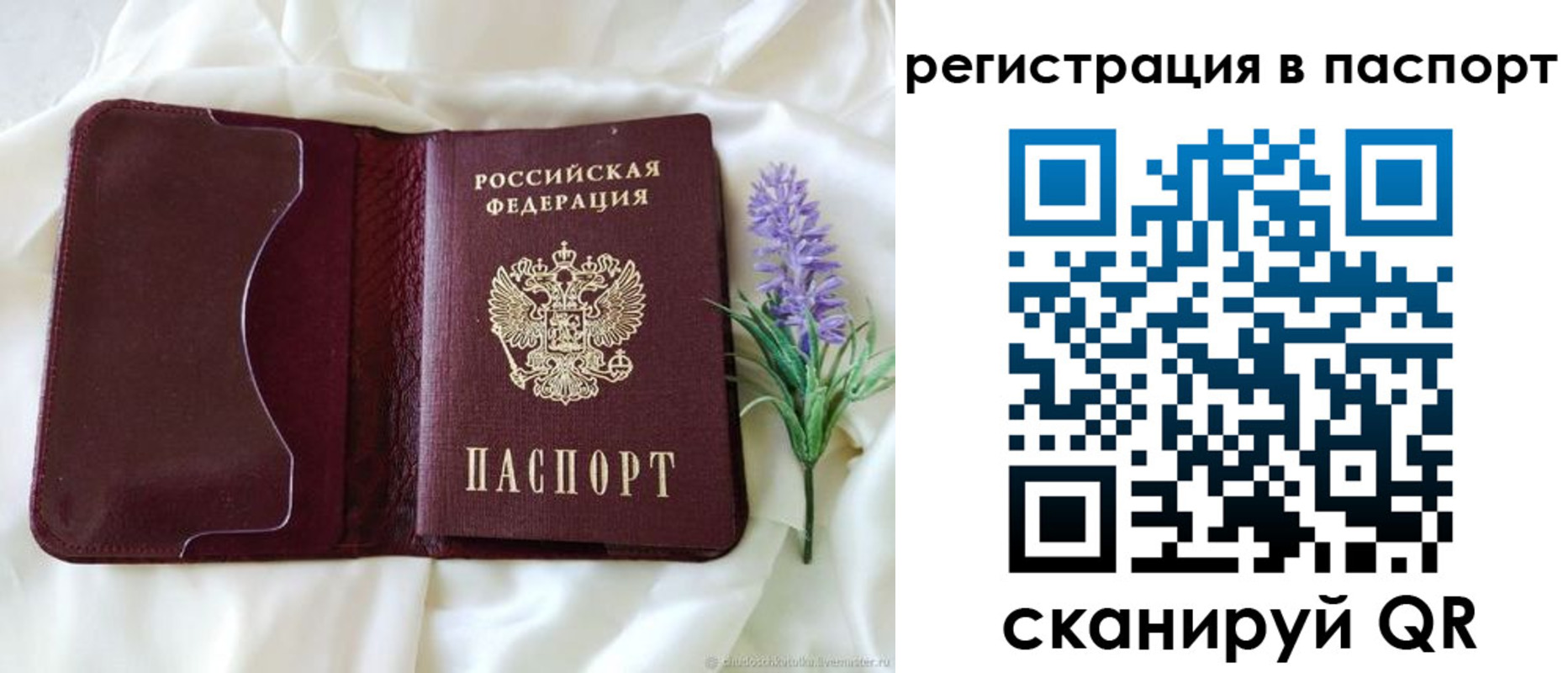 временная регистрация для всех в Куртамыше